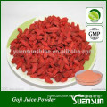 GMP factory supply freee dried Wolfberry powder